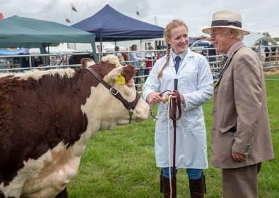 Usk Show Cattle 2021