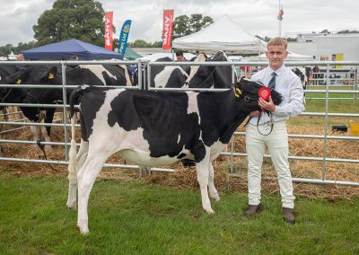 Usk Show Cattle 2021