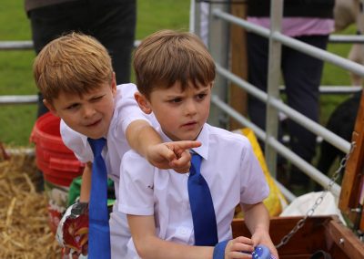 Usk Show Cattle 2021