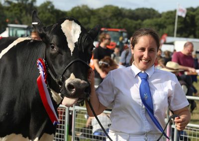 Usk Show Cattle 2021