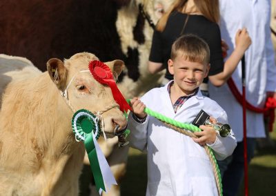 Usk Show Cattle 2021