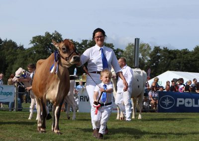 Usk Show Cattle 2021