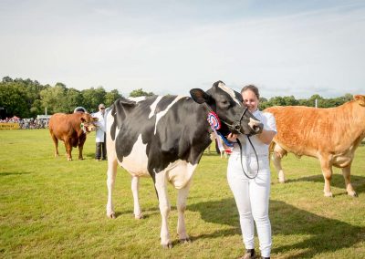 Usk Show Cattle 2021