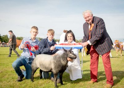 Usk Show Sheep 2021