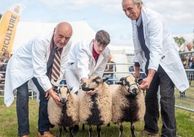 Usk Show Sheep 2021