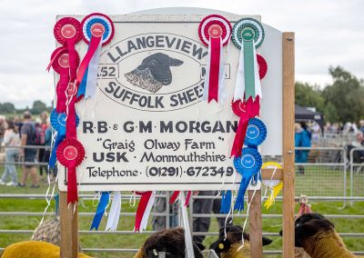 Usk Show Sheep 2021