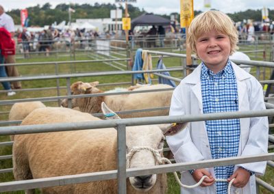 Usk Show Sheep 2021