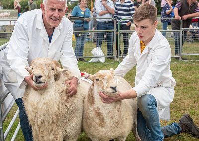 Usk Show Sheep 2021