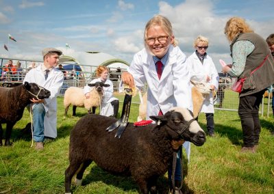 Usk Show Sheep 2021