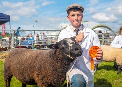 Usk Show Sheep 2021