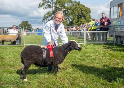 Usk Show Sheep 2021