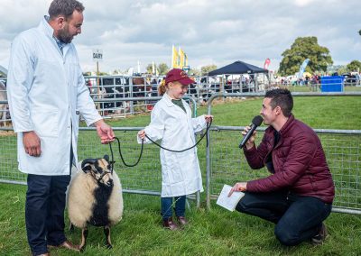 Usk Show Sheep 2021