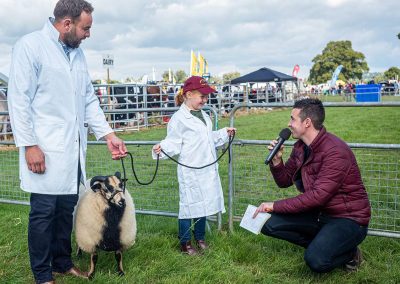 Usk Show Sheep 2021