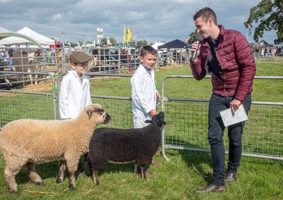 Usk Show Sheep 2021