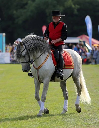 Usk Show Attractions 2021