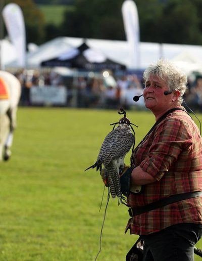 Usk Show Attractions 2021