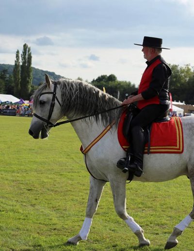 Usk Show Attractions 2021