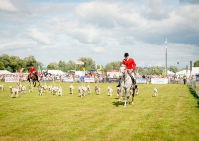 Usk Show Dogs 2021