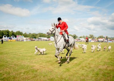 Usk Show Dogs 2021