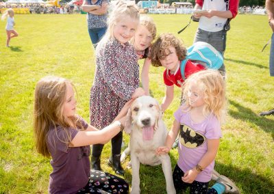 Usk Show Dogs 2021