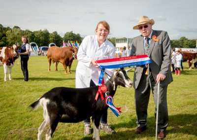 Usk Show Goats 2021