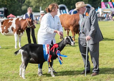 Usk Show Goats 2021