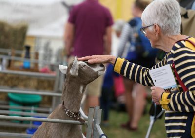 Usk Show Goats 2021