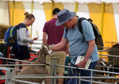 Usk Show Goats 2021