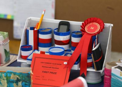 Usk Show Homecrafts 2021