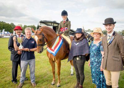 Usk Show Horses 2021