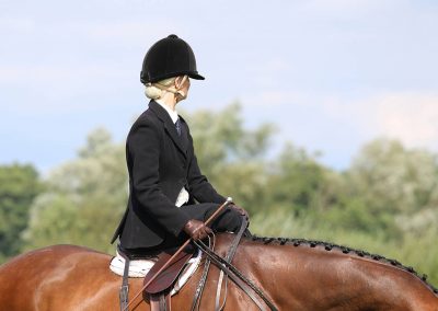 Usk Show Horses 2021