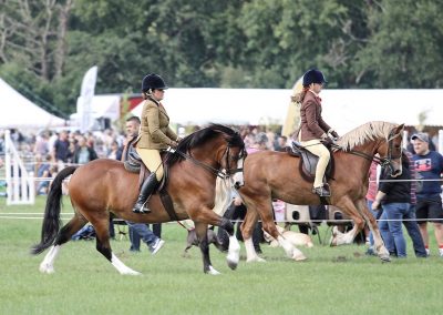 Usk Show Horses 2021