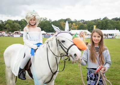 Usk Show Horses 2021