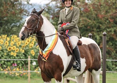 Usk Show Horses 2021