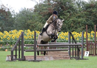 Usk Show Horses 2021