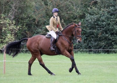 Usk Show Horses 2021