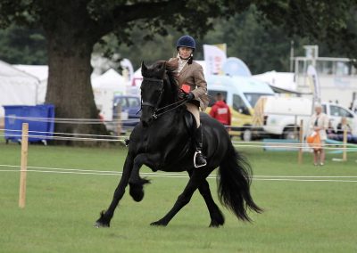 Usk Show Horses 2021