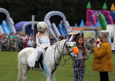 Usk Show Horses 2021