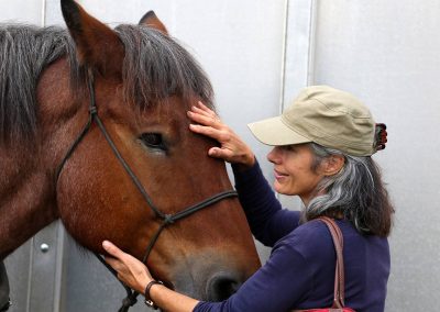 Usk Show Horses 2021