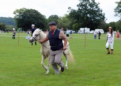 Usk Show Horses 2021