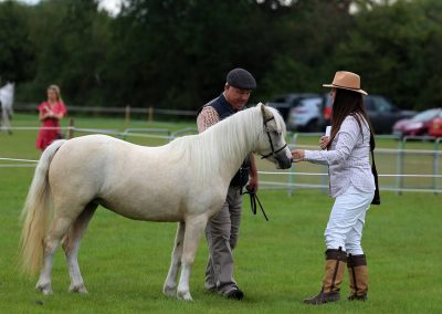 Usk Show Horses 2021