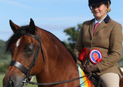 Usk Show Horses 2021