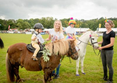 Usk Show Horses 2021