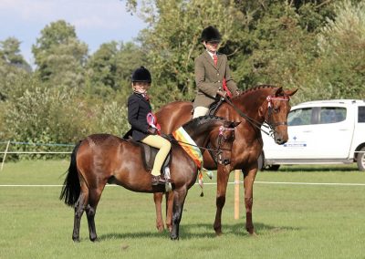 Usk Show Horses 2021