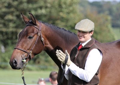 Usk Show Horses 2021