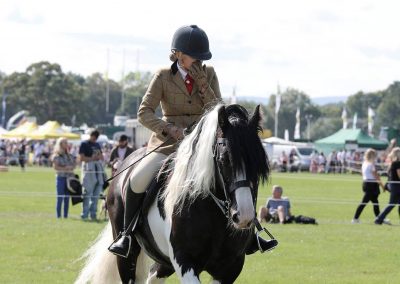 Usk Show Horses 2021