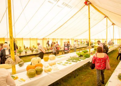 Usk Show Horticulture 2021