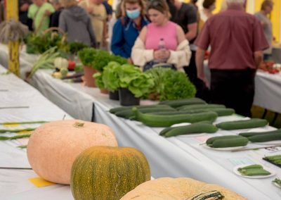 Usk Show Horticulture 2021