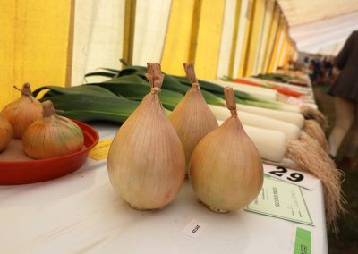 Usk Show Horticulture 2021