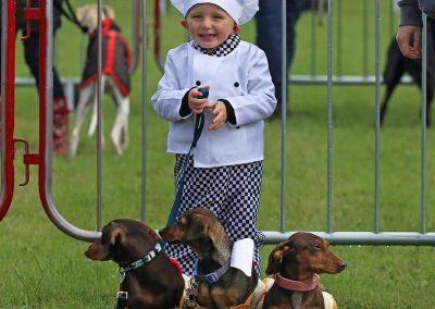 Usk Show Dogs 2026